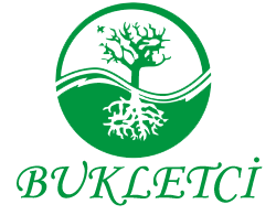 Bukletci